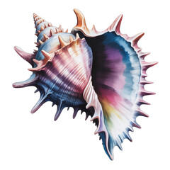 Fototapeta premium Ethereal Watercolor Sea Shell with Mystical Gradient Effects