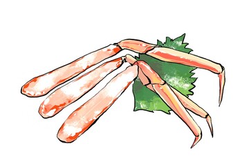 茹でたカニのむき身のイラスト