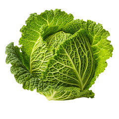 Whole Raw Green Cabbage Isolated on White Background