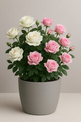 Decorative Flower Pot for Home Garden