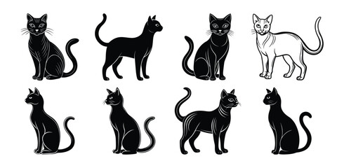 Black cat silhouette, sleek vector design, standing feline in minimalist style, isolated elegant pet icon, clean animal art for graphic design