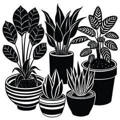 Stylish Indoor Plants A Collection of Potted Houseplants