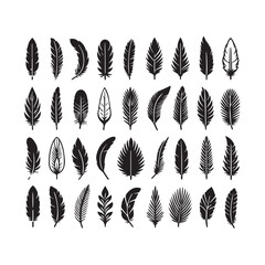 Bird Feather Silhouettes Vector  Black Plumelet Collection Isolated on White

