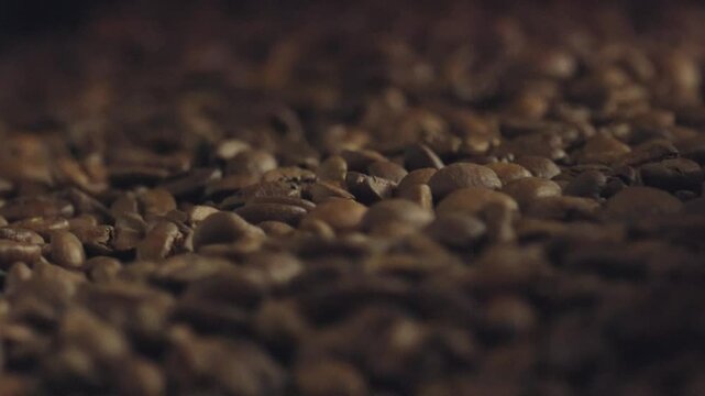 Professional coffee roaster gently rotating warm brown roasted coffee beans, revealing intricate texture and releasing rich aromatic notes during roasting process