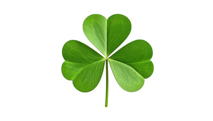 Clover leaf isolated on transparent background