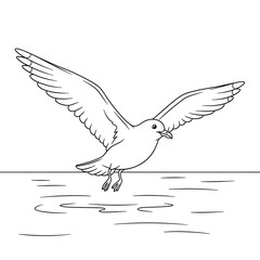 Obraz premium Seagull flying over water outline vector illustration for coloring page and design 90 on transparent background