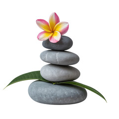 Balanced River Stones with Plumeria Flower and Leaf