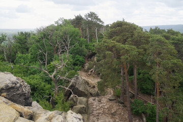 Blankenburg - Teufelsmauer, Blick vom Großvaterfelsen, Sachsen-Anhalt, Deutschland, Europa