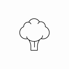 broccoli floret vegetable icon sign vector