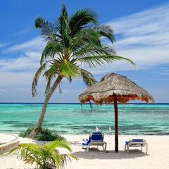 Seaside Tranquility: A Palm Tree, Sun Umbrella, and Two Lounge Chairs Overlooking Turquoise Caribbean Waters and Pristine White Sands