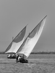 Latin sailing competition held on June 7, 2025 in the Albufera Natural Park of Valencia (Spain)