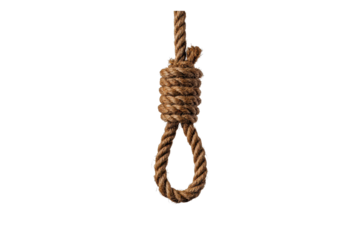 Close up of a hangman's noose tied in thick brown rope on a transparent background