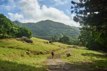 Beautiful European woman hiking in La Vallée de Ferney, Mauritius. Outdoor adventure in lush...