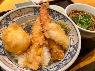 Japanese Tempura Bowl with Noodles