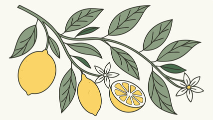 Hand drawn lemon branch with fruits leaves and flowers artistic vector illustration