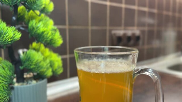 A man sniffs a kombucha SCOBY brewing in a glass jar at home. Homemade fermentation process with a sour scent, used for making probiotic tea.