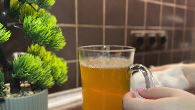 A person observes the formation of a kombucha SCOBY on the kitchen counter. Close-up of the fermentation process at home with natural lighting and details.