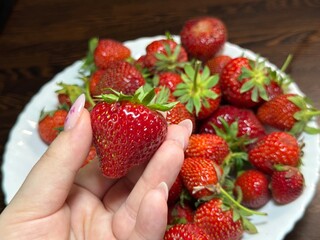 A woman's hand holds a large ripe strawberry above a plate filled with strawberries. The scene is...