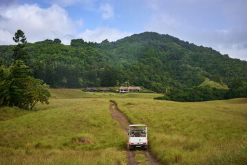 Peaceful, natural landscape featuring a rustic road winding through lush greenery. An ideal spot for a tranquil holiday getaway surrounded by nature’s beauty.