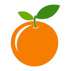 orange fruit vector illustration