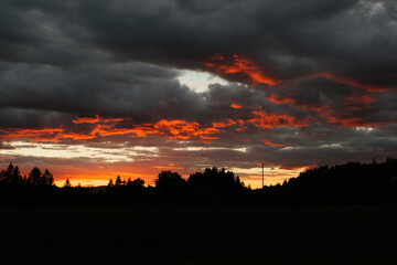 Sonnenuntergang über ein kleines Wäldchen mit Tannen und Laubbäumen in der Nähe von Eidsvoll, Norwegen. Gesehen am St. Olavsweg. Der Pilgerweg verläuft von Oslo nach Trondheim