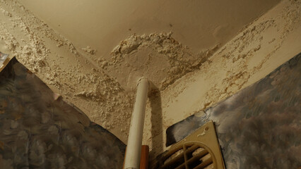 The ceiling in the apartment has a leak and peeling paint.
