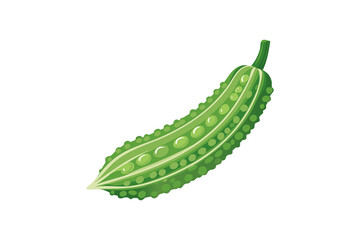 ゴーヤのイラスト(png)