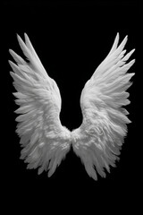 White angel wings isolated on black background. Aesthetic and symbolic representation of purity and transcendence in minimal, high-contrast style.