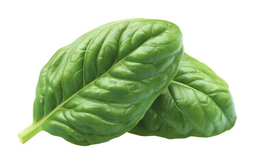 Obraz premium Fresh vibrant spinach leaves isolated on white