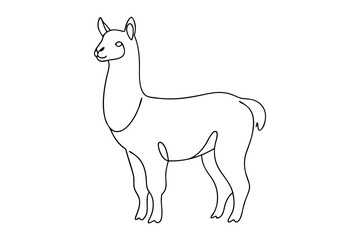 Obraz premium Cute Alpaca Line Drawing on White