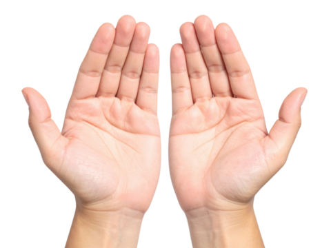 Pair of human hands open with palms facing upward, symbolizing giving, offering, or prayer, isolated for healthcare, wellness, support, and donation themes cut out isolated Transparent PNG Elements