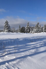 Fototapeta premium A snowy frost on a cold day, Sainte-Apolline, Québec, Canada