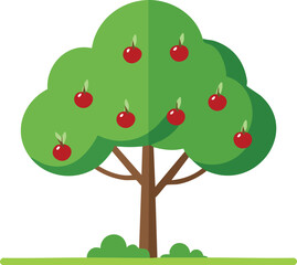 cherry tree vector illustration