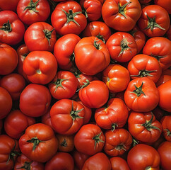 pile of tomato screen full of tomato