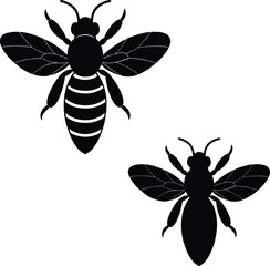 Silhouette of Two Bees A Vector Illustration