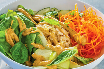 mixed green salad topped with brown rice, carrot, cucumber, and apple