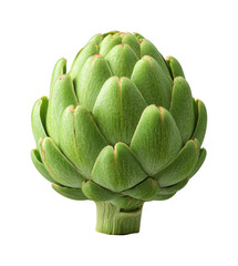 Fototapeta premium Fresh green artichoke close-up with detailed texture