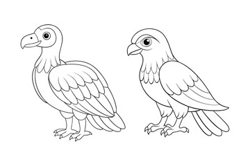 Birds coloring book  bundle, Birds outline, Birds line art vector illustration