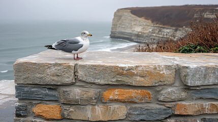 Seagull Perched Overlooking Coastal Cliff Landscape