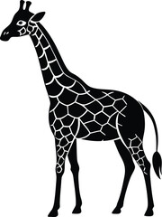 Obraz premium Black and white Silhouette illustration of a giraffe standing gracefully