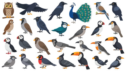 A cute vector cartoon illustration of a set of funny penguin birds with a nature design