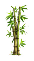 Fototapeta premium Realistic green bamboo stalks with leaves in natural growth formation