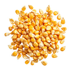 Golden Corn Kernels Heap Isolated Black Background