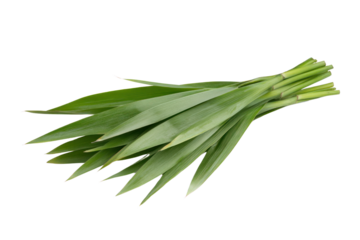 Bundled Pandan Leaves: Fresh pandan leaves, with their vibrant green color, are artfully bundled, displaying their elongated, elegant shape.