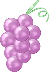 Bunch of purple grapes