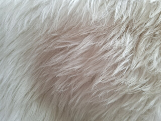 Fluffy, textured beige and cream fur with long, soft strands flowing in different directions,...