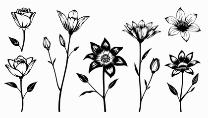 A set of elegant black and white floral line drawings showcasing various stylized flowers and buds with fine details, suitable for tattoos, prints, or design elements.