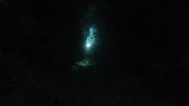 Inside a dark submerged cave, a faint beam of a diver&rsquo;s torch cuts through the water toward the entrance, revealing silhouettes of fish. Check my portfolio for more cave diving footage.
