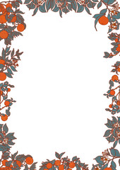 Oranges and tangerines illustration rectangular frame. Square fruit summer border for decor design. Citrus garden trees card template and provence photo