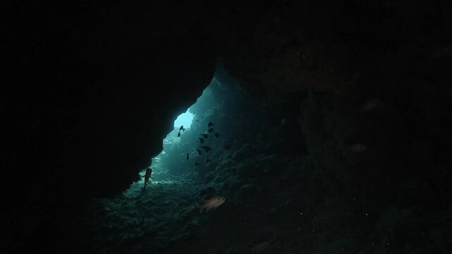 A diver approaches the glowing exit of a submerged cave, guided by natural light and the sound of breathing. Check my portfolio for more cave diving footage.